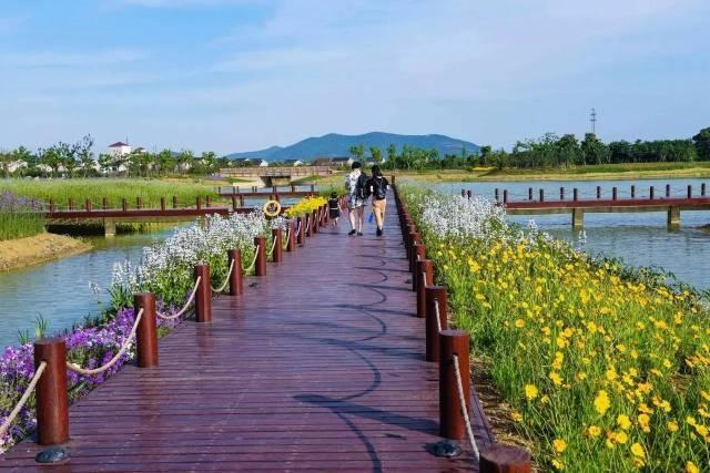 ������һ��Ҫȥ�����塪�����ݵı�����