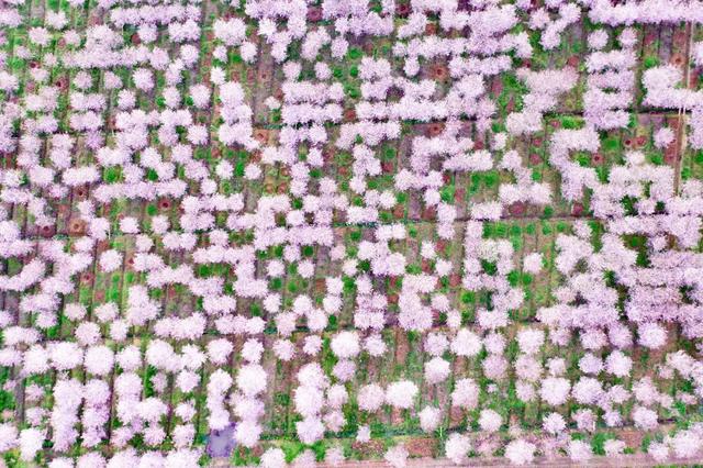 ��������ԭ�磬��һ�����淨��