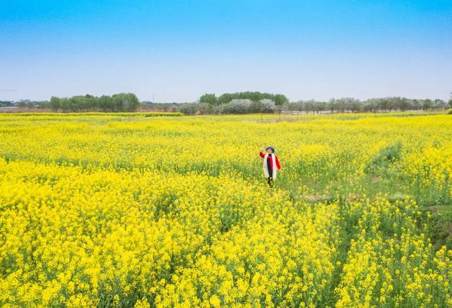 ��������ԭ�磬��һ�����淨��