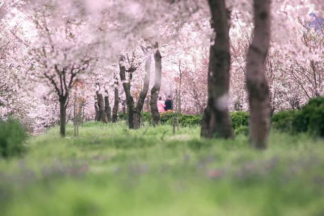 ��������ԭ�磬��һ�����淨��