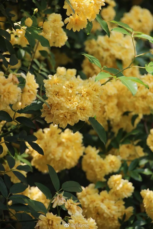 �˼��˰��ġ����š�����ֵ��ӵ��