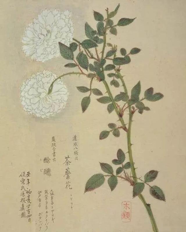 �˼��˰��ġ����š�����ֵ��ӵ��