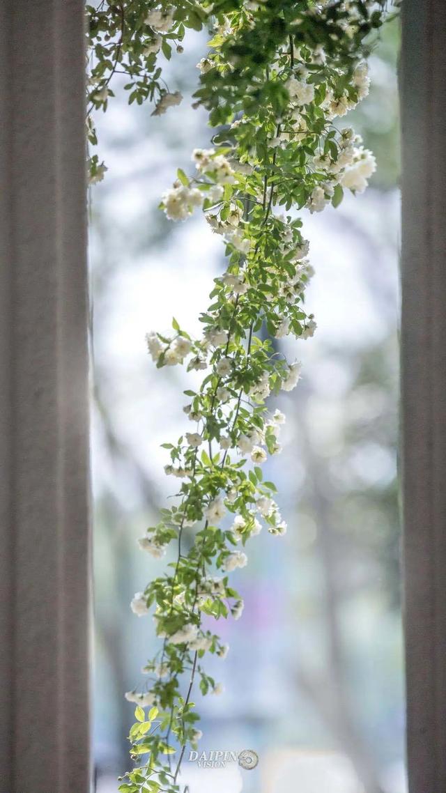 �˼��˰��ġ����š�����ֵ��ӵ��