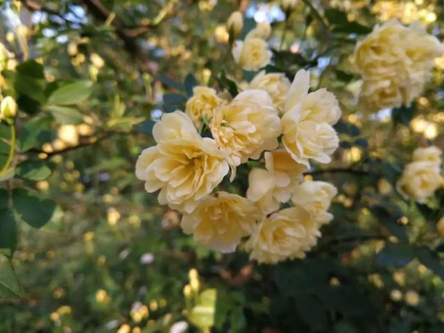 �˼��˰��ġ����š�����ֵ��ӵ��