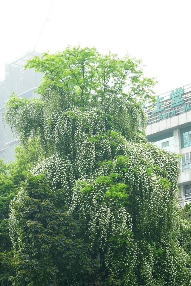 �˼��˰��ġ����š�����ֵ��ӵ��