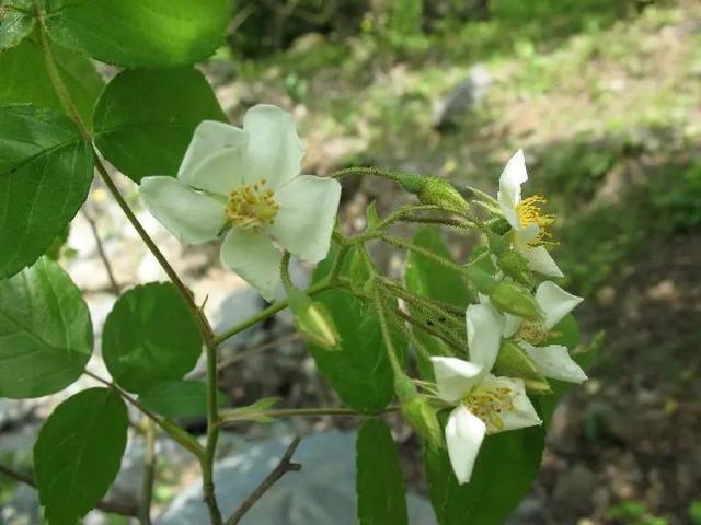 �˼��˰��ġ����š�����ֵ��ӵ��