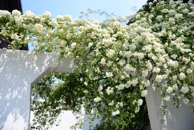 �˼��˰��ġ����š�����ֵ��ӵ��