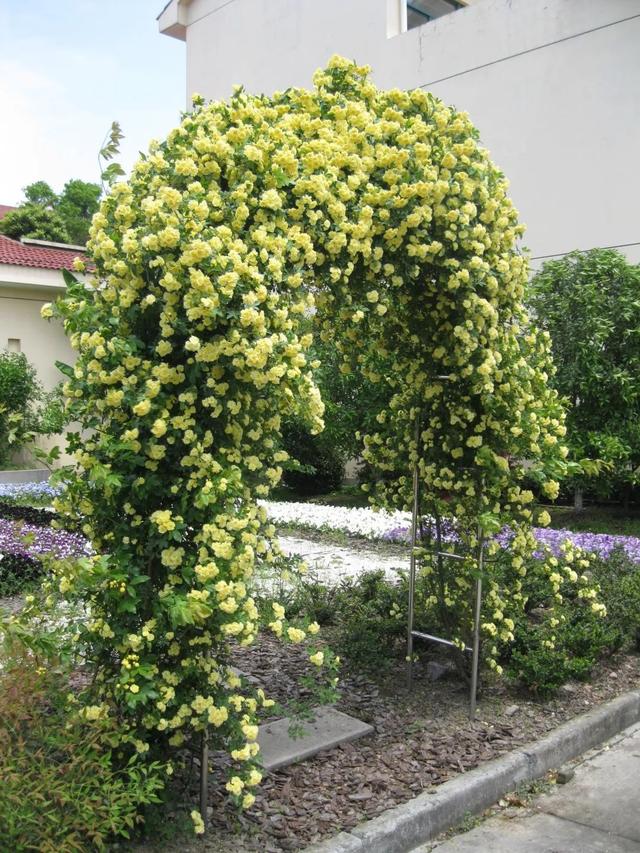 �˼��˰��ġ����š�����ֵ��ӵ��