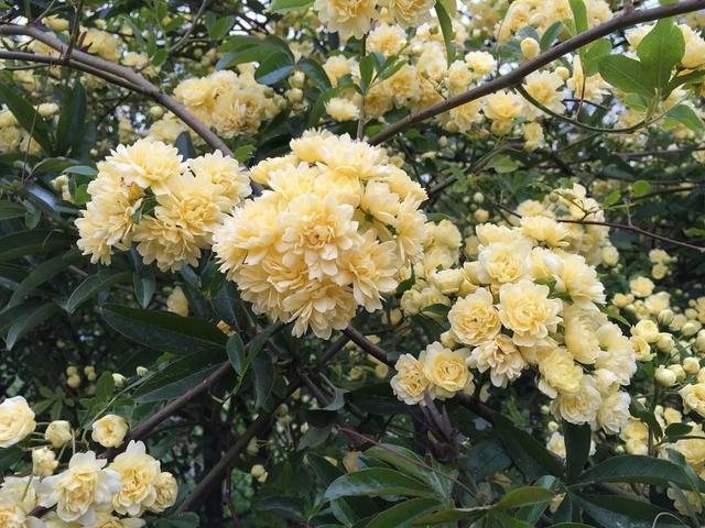 �˼��˰��ġ����š�����ֵ��ӵ��