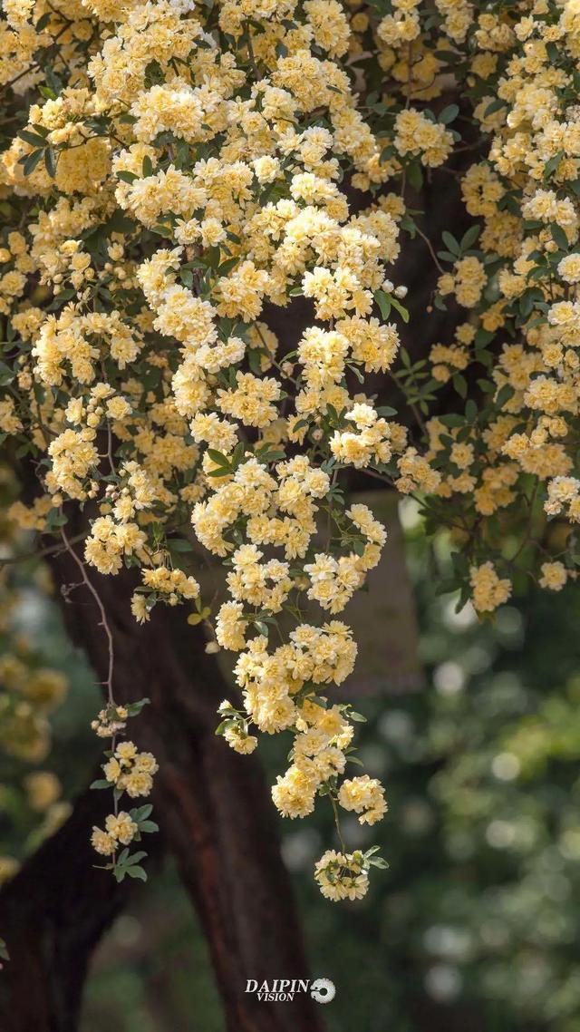 �˼��˰��ġ����š�����ֵ��ӵ��