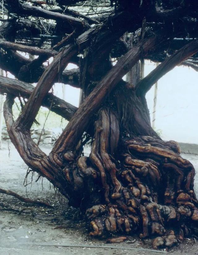 �˼��˰��ġ����š�����ֵ��ӵ��