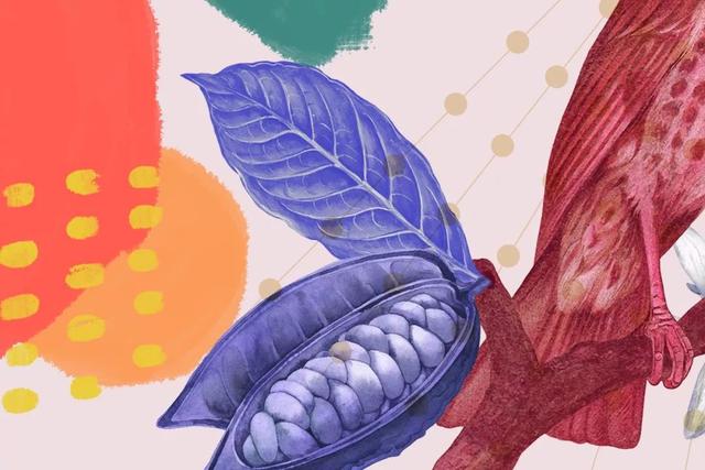 有趣的插画风包装设计