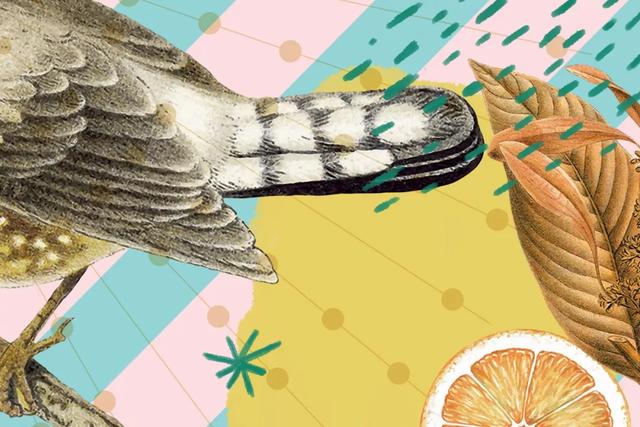 ��Ȥ�Ĳ廭���װ���