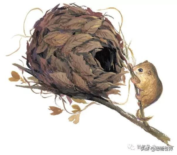 �Ͷ�����٣�10�����������еĽ�����ʦ