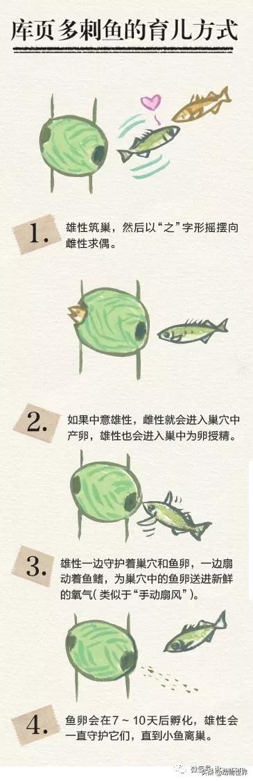 �Ͷ�����٣�10�����������еĽ�����ʦ