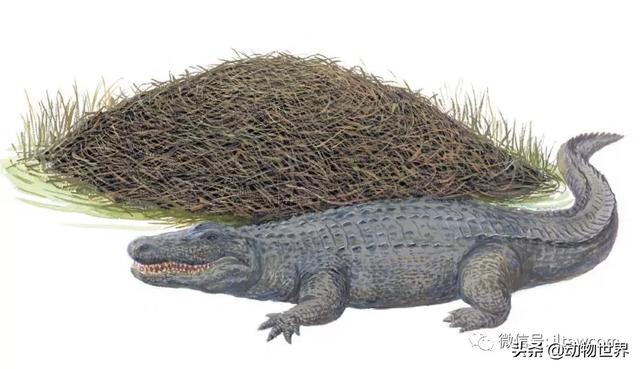 �Ͷ�����٣�10�����������еĽ�����ʦ