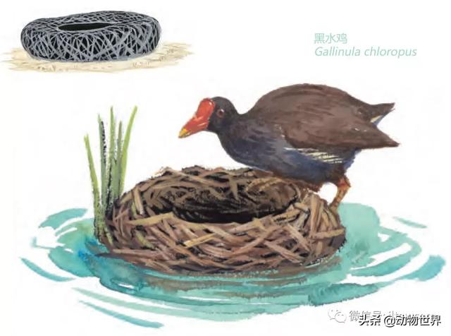 �Ͷ�����٣�10�����������еĽ�����ʦ