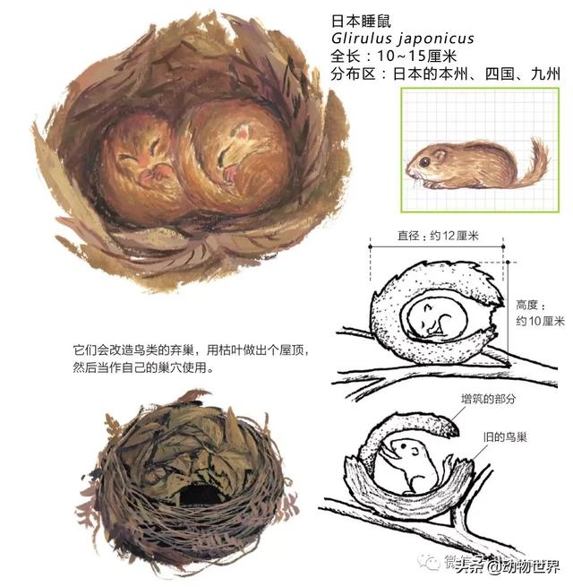 �Ͷ�����٣�10�����������еĽ�����ʦ