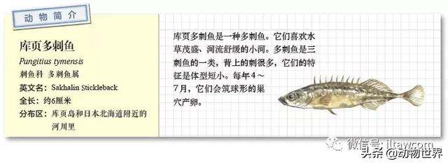 �Ͷ�����٣�10�����������еĽ�����ʦ