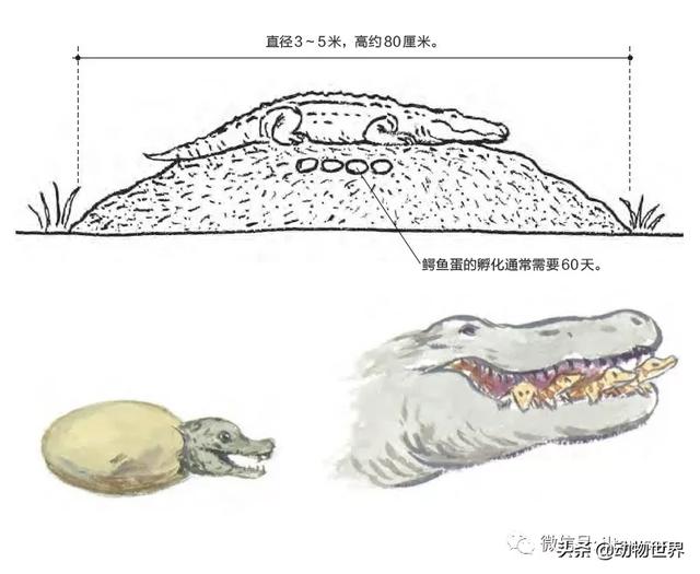 �Ͷ�����٣�10�����������еĽ�����ʦ