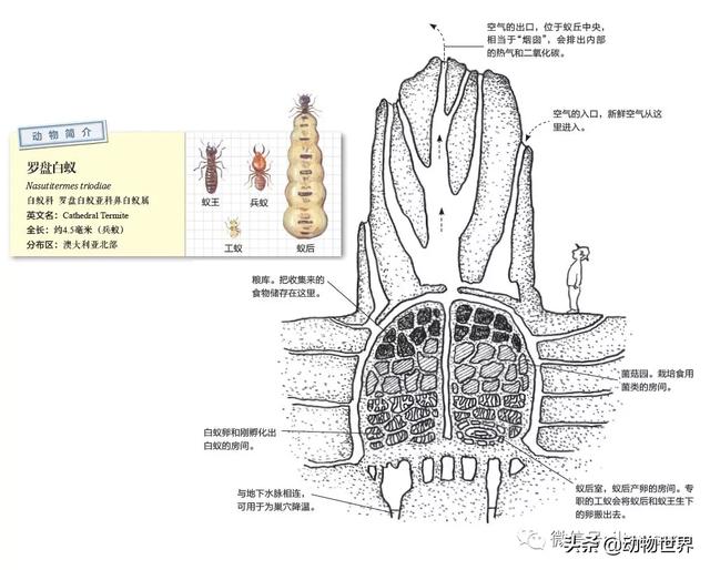 �Ͷ�����٣�10�����������еĽ�����ʦ