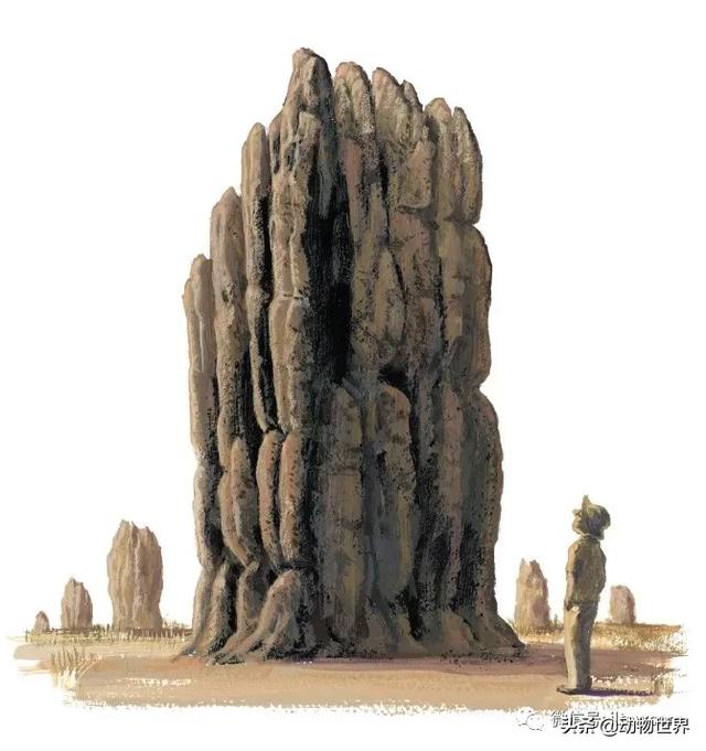 �Ͷ�����٣�10�����������еĽ�����ʦ