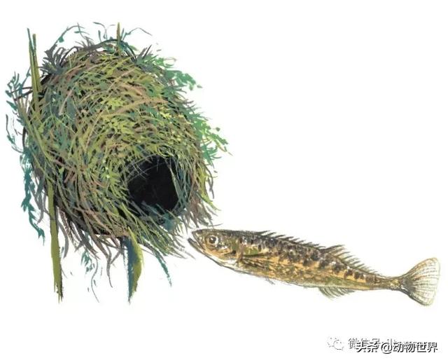 �Ͷ�����٣�10�����������еĽ�����ʦ