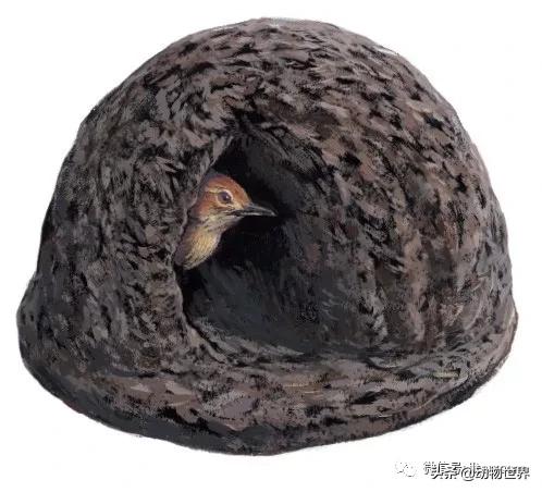 �Ͷ�����٣�10�����������еĽ�����ʦ