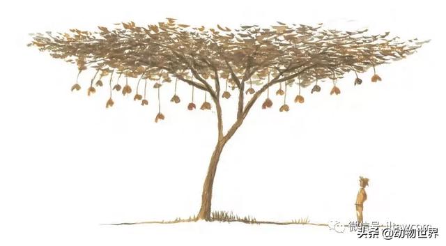 �Ͷ�����٣�10�����������еĽ�����ʦ