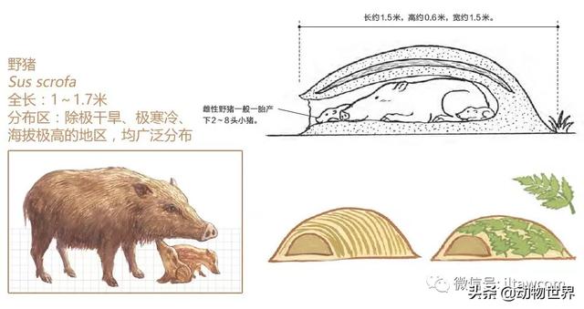 �Ͷ�����٣�10�����������еĽ�����ʦ