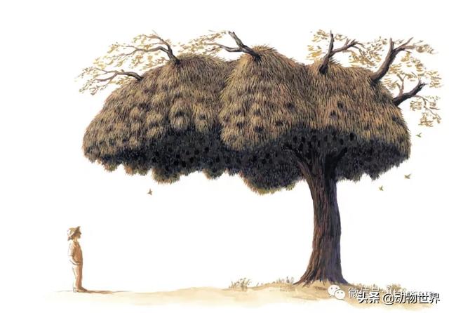 �Ͷ�����٣�10�����������еĽ�����ʦ