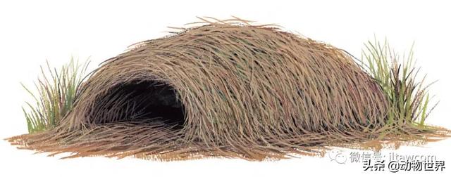 �Ͷ�����٣�10�����������еĽ�����ʦ