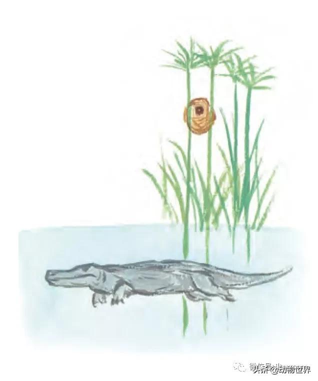 �Ͷ�����٣�10�����������еĽ�����ʦ