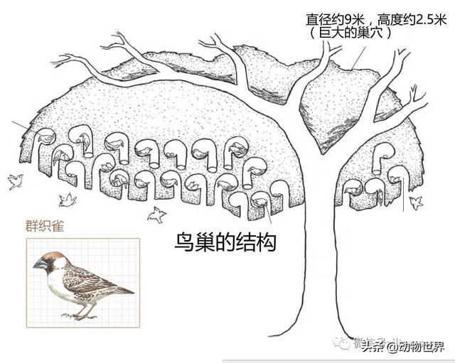 �Ͷ�����٣�10�����������еĽ�����ʦ