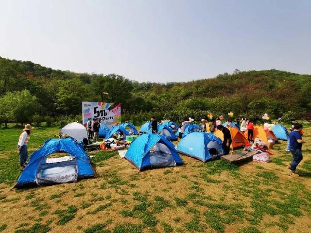 南京一日游好去处,景美又有腔调