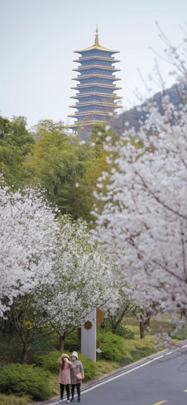 �Ͼ�һ���κ�ȥ������������ǻ��