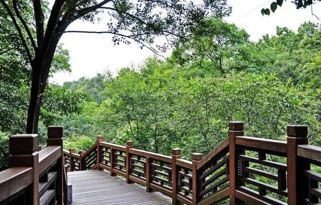 �Ͼ�һ���κ�ȥ������������ǻ��