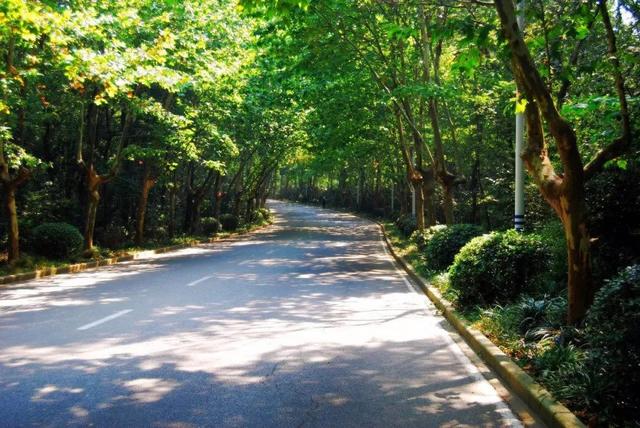 �Ͼ�һ���κ�ȥ������������ǻ��