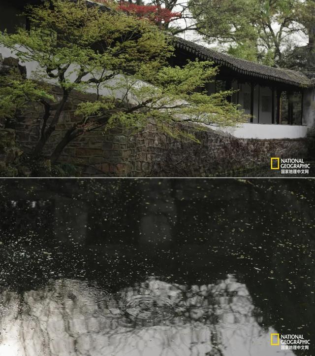 ��������԰�֣��˿�ֻ������