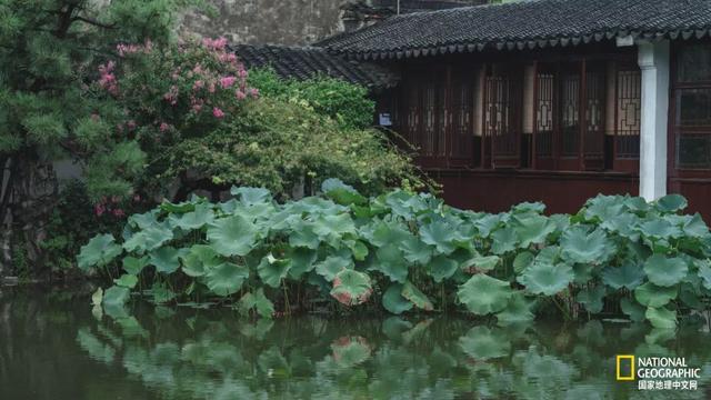 ��������԰�֣��˿�ֻ������