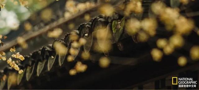 苏州所有园林,此刻只属于你