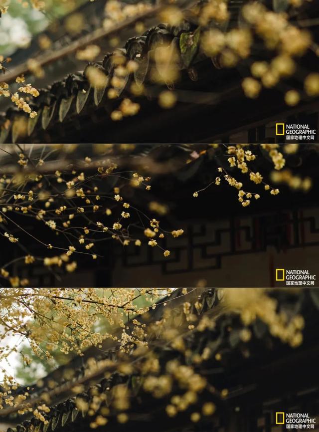 ��������԰�֣��˿�ֻ������