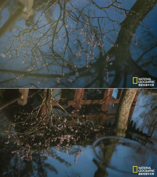 ��������԰�֣��˿�ֻ������