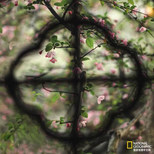 ��������԰�֣��˿�ֻ������