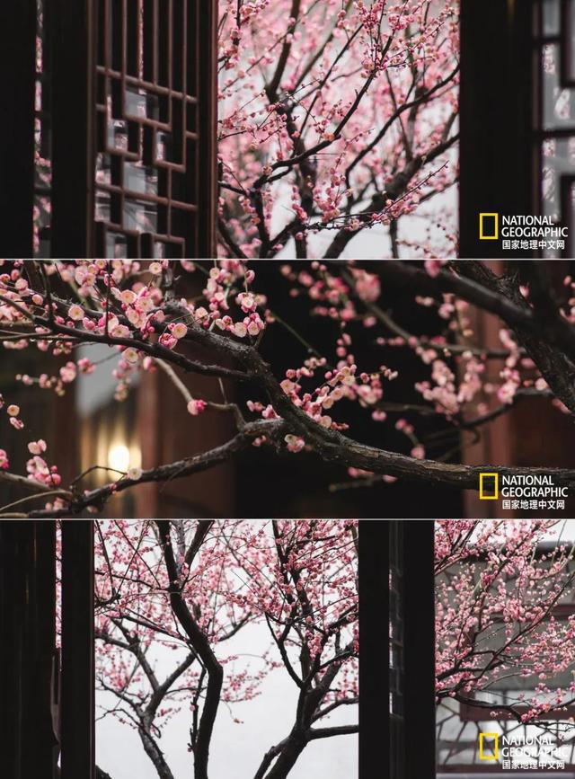 ��������԰�֣��˿�ֻ������