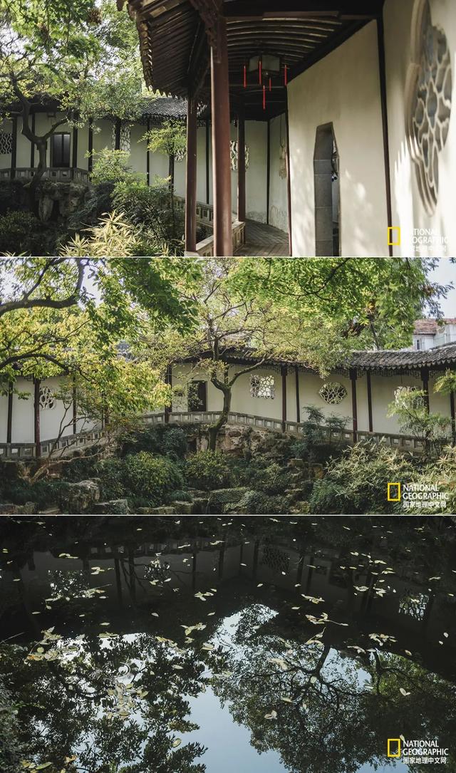 ��������԰�֣��˿�ֻ������