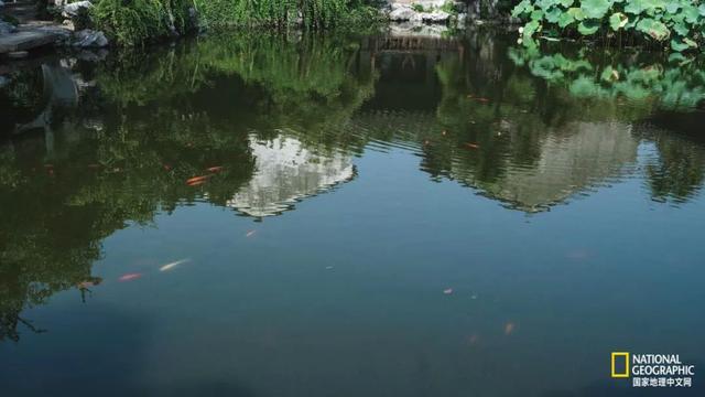 ��������԰�֣��˿�ֻ������