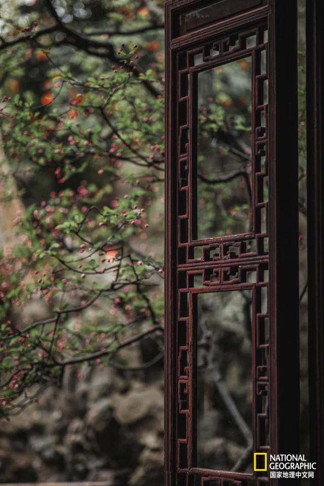 ��������԰�֣��˿�ֻ������