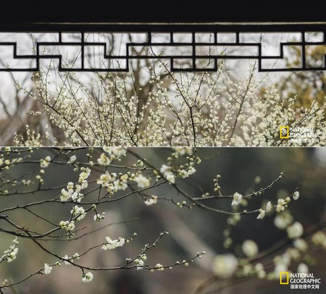 ��������԰�֣��˿�ֻ������