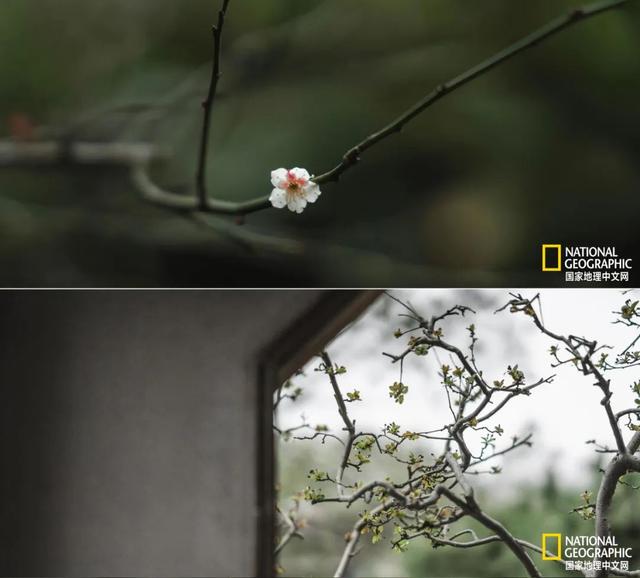 ��������԰�֣��˿�ֻ������